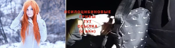 ПСИЛОЦИБИНОВЫЕ ГРИБЫ Абдулино
