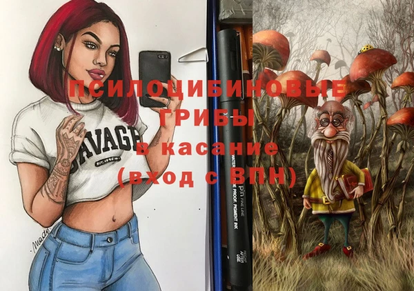 ПСИЛОЦИБИНОВЫЕ ГРИБЫ Абдулино