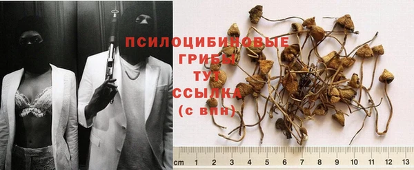 гидропоника Алексеевка