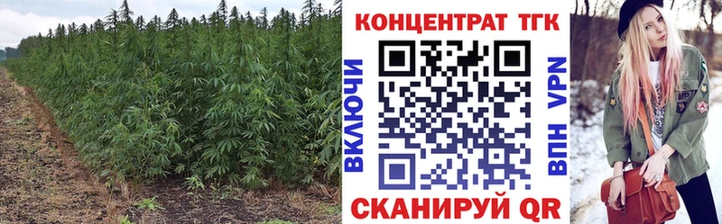 Дистиллят ТГК THC oil  купить   Искитим 