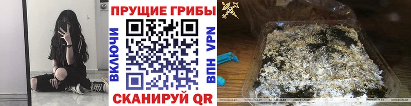 где продают   blacksprut ССЫЛКА  Галлюциногенные грибы Psilocybe  Искитим 